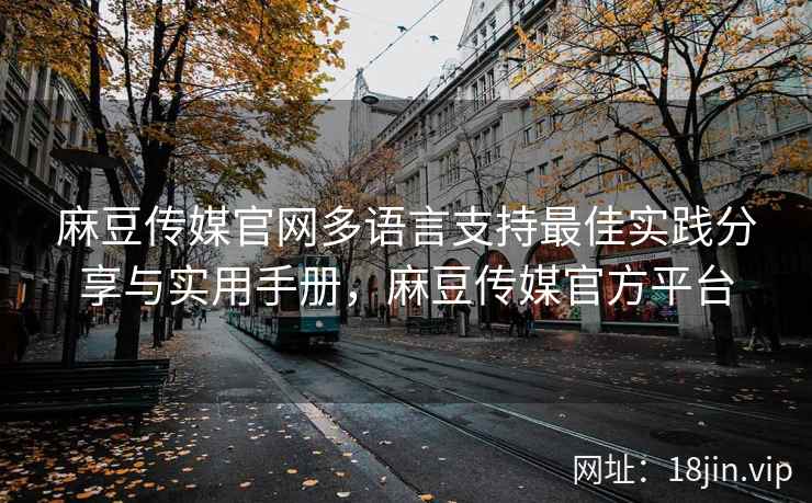 麻豆传媒官网多语言支持最佳实践分享与实用手册，麻豆传媒官方平台