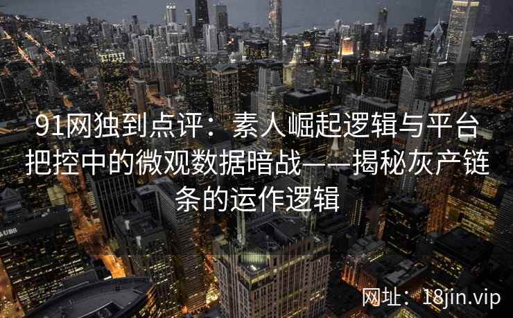 91网独到点评:素人崛起逻辑与平台把控中的微观数据暗战——揭秘灰产链条的运作逻辑 91网独到点评:素人崛起逻辑与平台把控中的微观数据暗战——揭秘灰产链条的运作逻辑