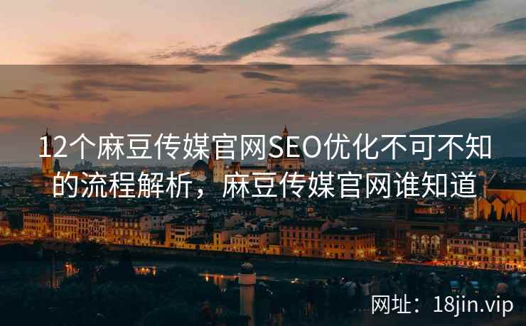 12个麻豆传媒官网SEO优化不可不知的流程解析，麻豆传媒官网谁知道