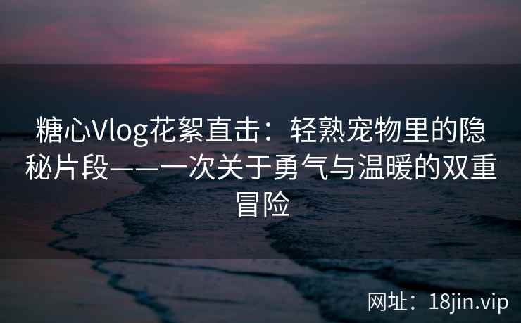 糖心Vlog花絮直击:轻熟宠物里的隐秘片段——一次关于勇气与温暖的双重冒险 糖心Vlog花絮直击:轻熟宠物里的隐秘片段——一次关于勇气与温暖的双重冒险