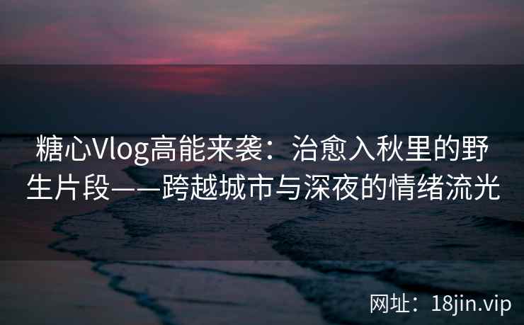 糖心Vlog高能来袭：治愈入秋里的野生片段——跨越城市与深夜的情绪流光